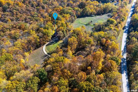 Tiny photo for 4648 Highway 127, Carbondale, IL 62903 (MLS # EB460416)