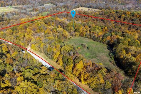 Tiny photo for 4648 Highway 127, Carbondale, IL 62903 (MLS # EB460416)