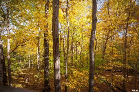 Tiny photo for 4648 Highway 127, Carbondale, IL 62903 (MLS # EB460416)