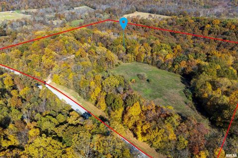 Tiny photo for 4648 Highway 127, Carbondale, IL 62903 (MLS # EB460416)