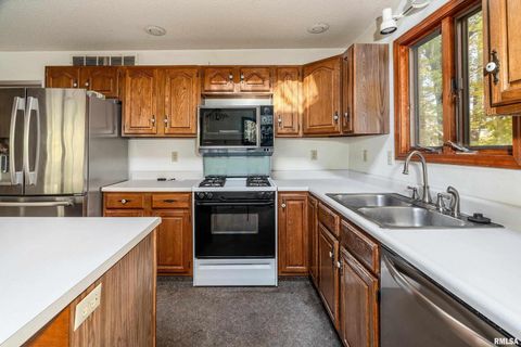 Tiny photo for 4648 Highway 127, Carbondale, IL 62903 (MLS # EB460416)