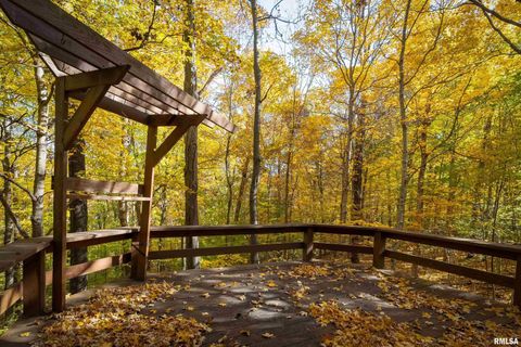 Tiny photo for 4648 Highway 127, Carbondale, IL 62903 (MLS # EB460416)