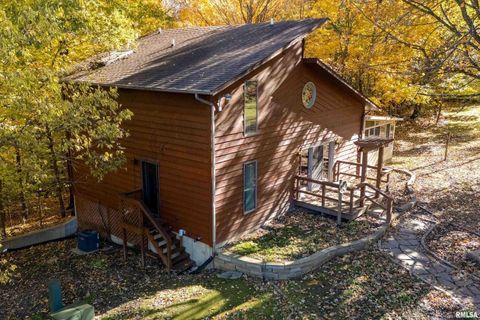 Tiny photo for 4648 Highway 127, Carbondale, IL 62903 (MLS # EB460416)