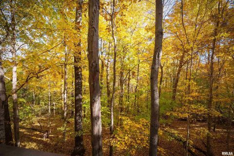 Tiny photo for 4648 Highway 127, Carbondale, IL 62903 (MLS # EB460416)