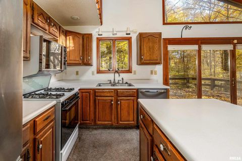 Tiny photo for 4648 Highway 127, Carbondale, IL 62903 (MLS # EB460416)