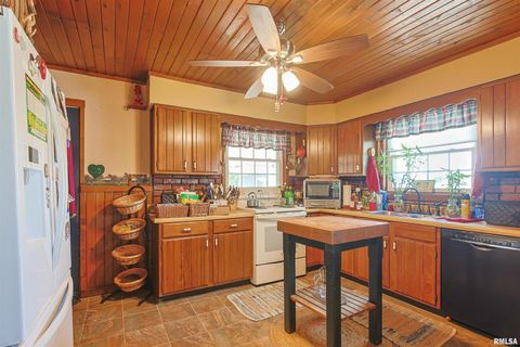 Tiny photo for 11939 Cochran Road, Marion, IL 62959 (MLS # EB459817)