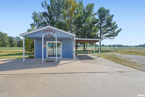 Tiny photo for 11939 Cochran Road, Marion, IL 62959 (MLS # EB459817)
