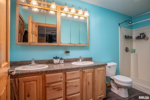 Tiny photo for 1012 Viaduct Road, Savanna, IL 61074 (MLS # QC4263181)