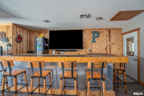 Tiny photo for 1012 Viaduct Road, Savanna, IL 61074 (MLS # QC4263181)