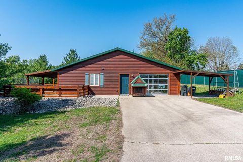 Photo of 1012 Viaduct Road, Savanna, IL 61074 (MLS # QC4263181)