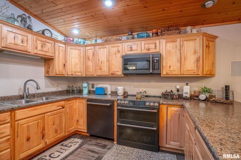 Tiny photo for 1012 Viaduct Road, Savanna, IL 61074 (MLS # QC4263181)