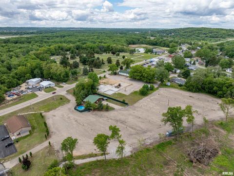 Tiny photo for 1012 Viaduct Road, Savanna, IL 61074 (MLS # QC4263181)