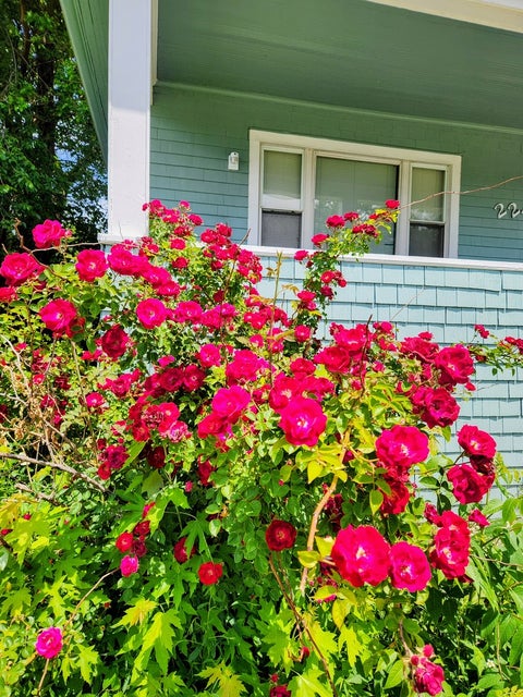 Tiny photo for 2244 121st Street, Blue Island, IL 60406 (MLS # 12769615)