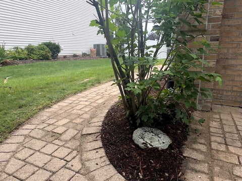 Tiny photo for 572 E DELGADO Drive, Palatine, IL 60074 (MLS # 12752577)
