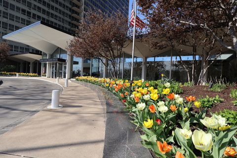 Tiny photo for 3550 N Lake Shore Drive #2615, Chicago, IL 60657 (MLS # 12514337)