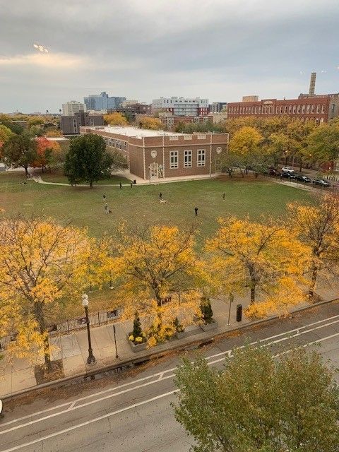 Tiny photo for 1309 N Wells Street #601, Chicago, IL 60610 (MLS # 12595222)