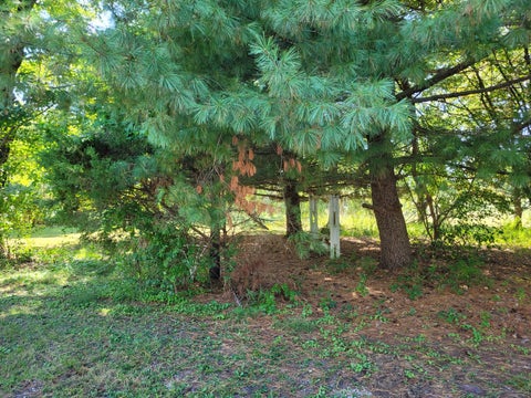Tiny photo for 11978 E Bunny Farm Road, Mt Vernon, IL 62864 (MLS # 12759012)