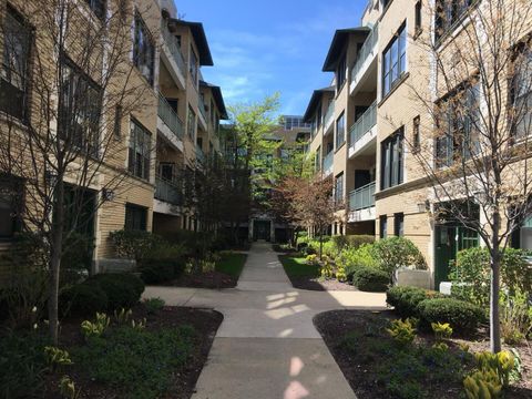 4320 N Clarendon Avenue 2031 Chicago IL 60613