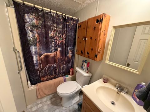 Tiny photo for 2041 mills cart Road, Salem, IL 62881 (MLS # 12608966)