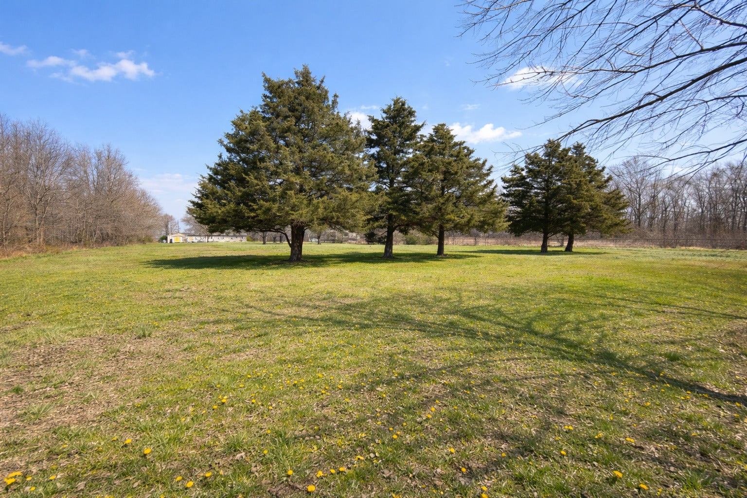 2041 mills cart Road