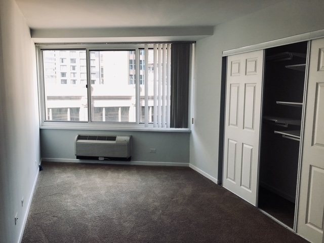 211 E Ohio Street 1102