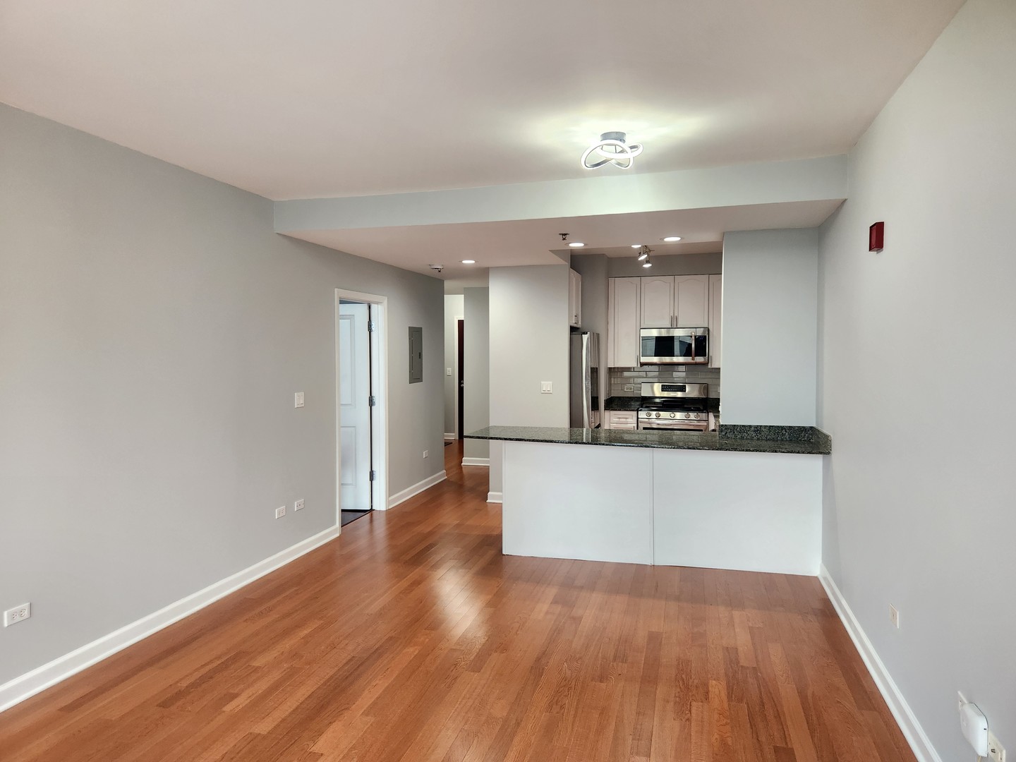 1250 S Michigan Avenue 703