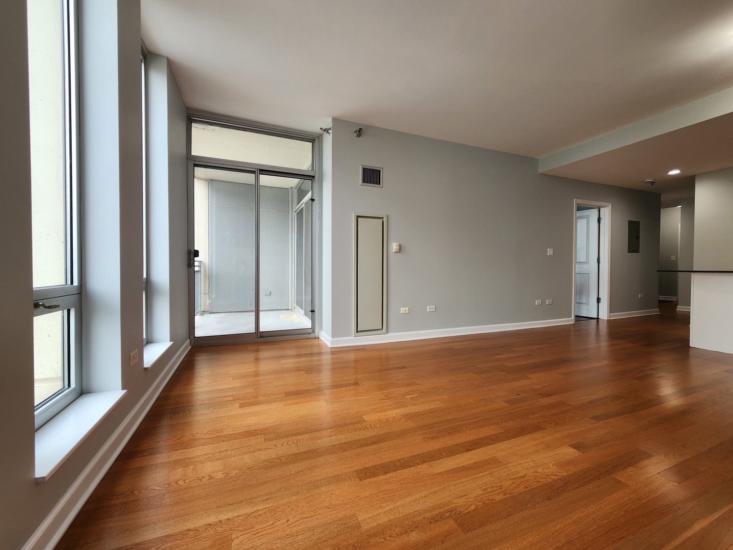 1250 S Michigan Avenue 703
