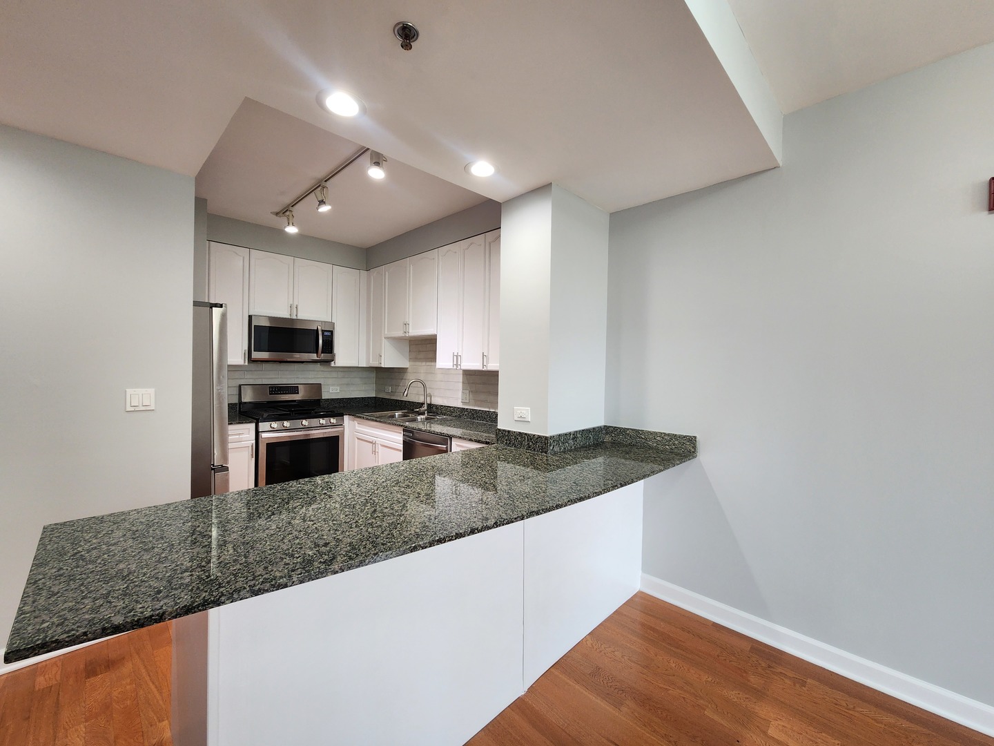 1250 S Michigan Avenue 703