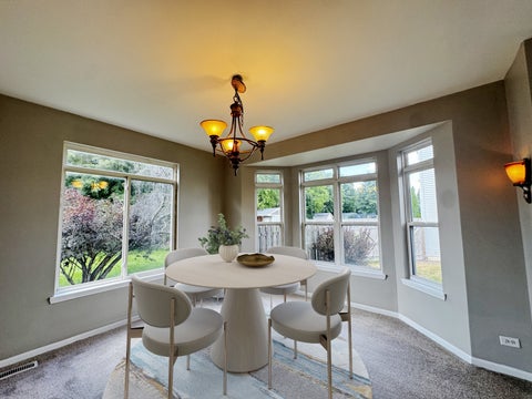 Tiny photo for 223 Paradise Parkway, Oswego, IL 60543 (MLS # 12744385)