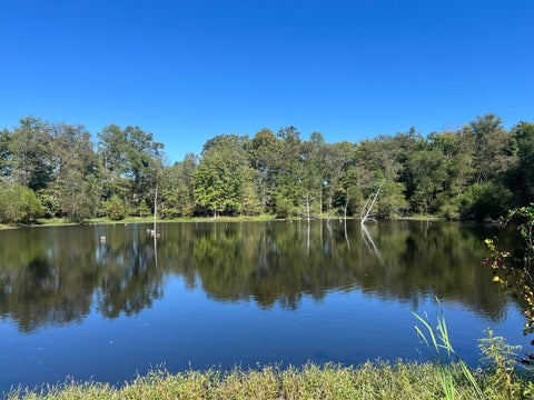 Tiny photo for 2183 Wards Mill Road, Marion, IL 62959 (MLS # 12780923)