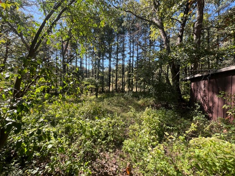 Tiny photo for 2183 Wards Mill Road, Marion, IL 62959 (MLS # 12780923)