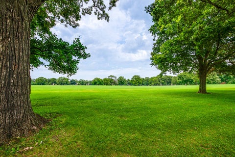 Tiny photo for 190 Leonard Wood S #106, Highland Park, IL 60035 (MLS # 12747019)