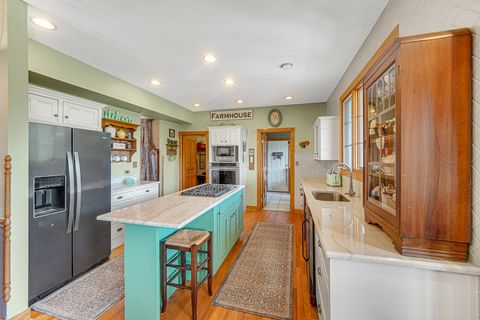 Tiny photo for 26547 S Melissa Court, Monee, IL 60449 (MLS # 12661669)