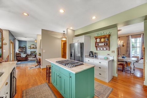 Tiny photo for 26547 S Melissa Court, Monee, IL 60449 (MLS # 12661669)