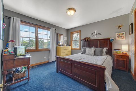 Tiny photo for 26547 S Melissa Court, Monee, IL 60449 (MLS # 12661669)
