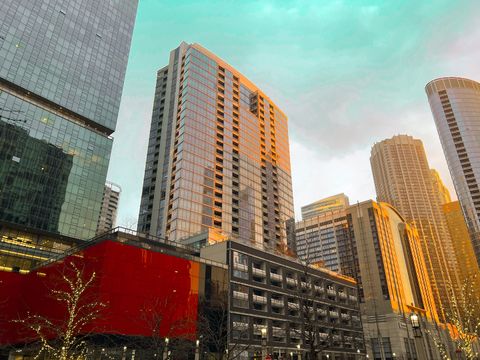 240 E Illinois Street 2206 Chicago IL 60611