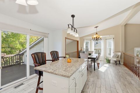 Tiny photo for 1078 Rain Tree Drive, Bolingbrook, IL 60440 (MLS # 12510595)