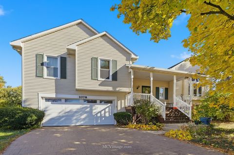 Photo of 1078 Rain Tree Drive, Bolingbrook, IL 60440 (MLS # 12510595)