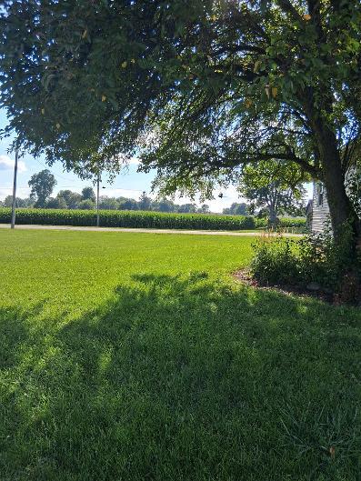 Tiny photo for 503 S King Street, Wyanet, IL 61379 (MLS # 12734013)