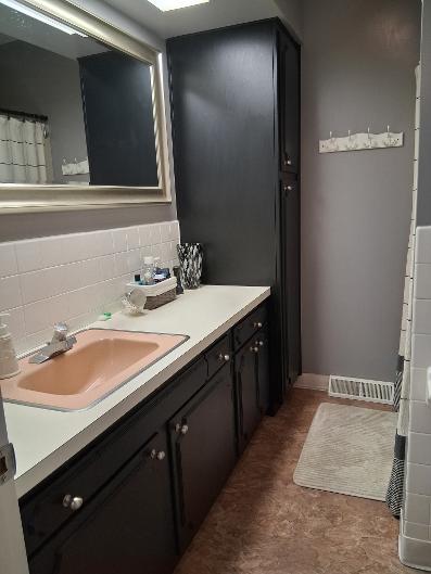 Tiny photo for 503 S King Street, Wyanet, IL 61379 (MLS # 12734013)