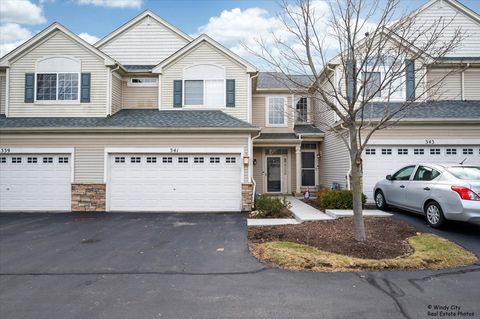 Photo of 341 John M Boor Drive, Gilberts, IL 60136 (MLS # 12540784)