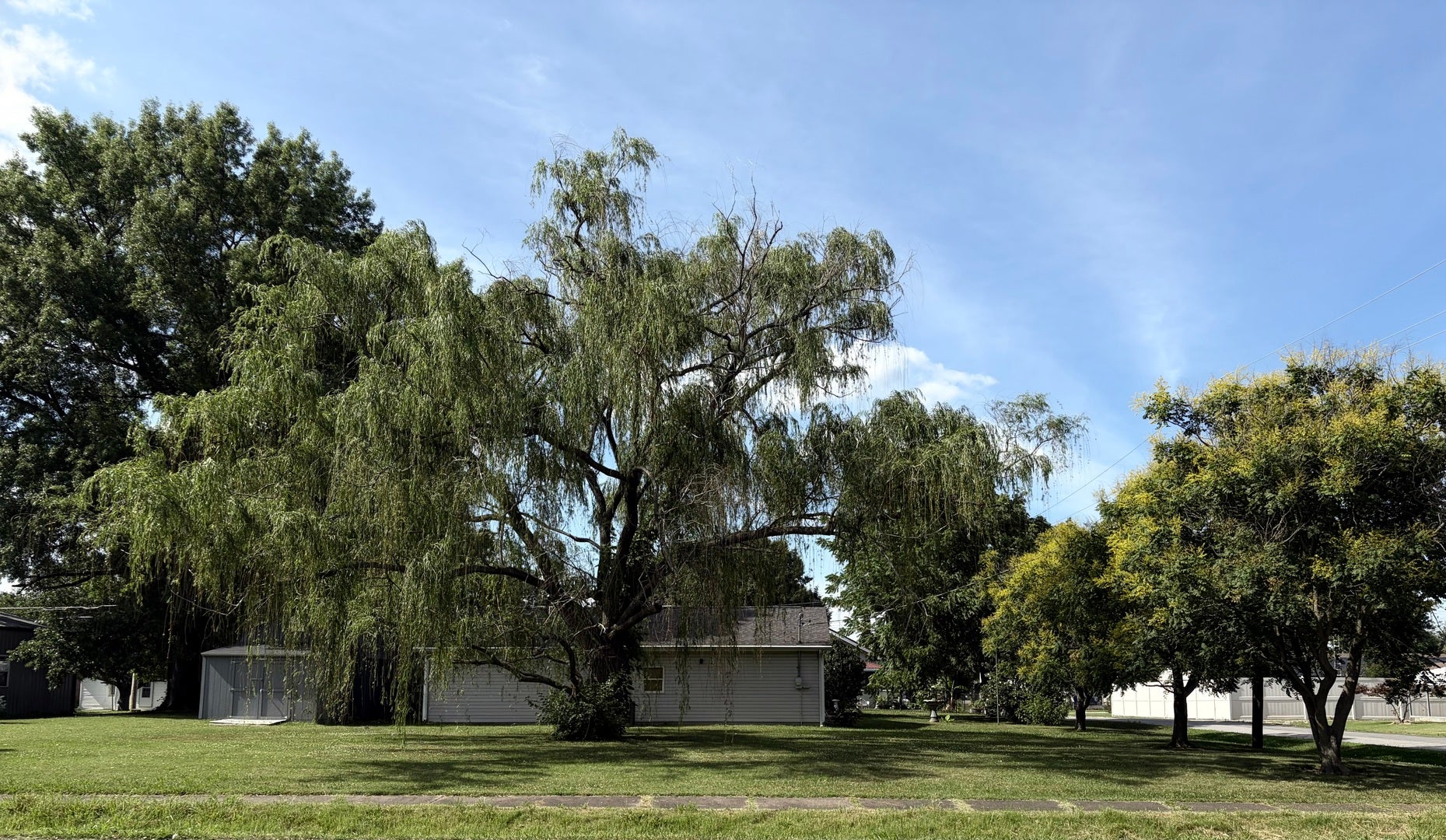 502 W Cherry Avenue