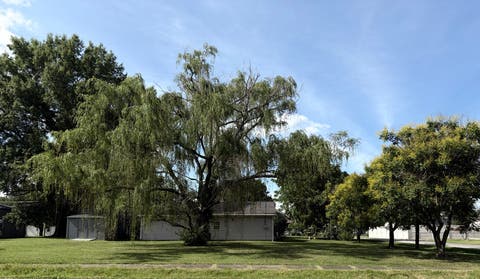 Tiny photo for 502 W Cherry Avenue, Christopher, IL 62822 (MLS # 12683568)