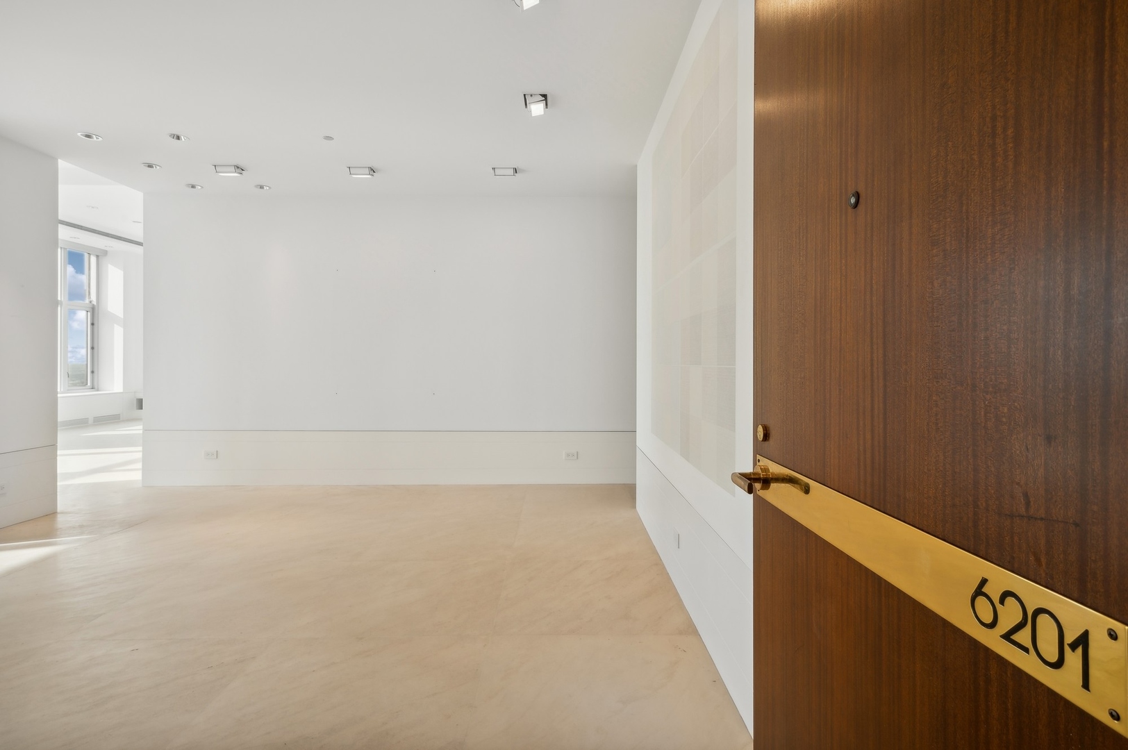 132 E Delaware Place 6201