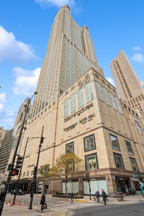 132 E Delaware Place 6201 Chicago IL 60611