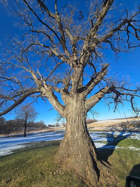 Tiny photo for 12719 GardenPlain Road, Morrison, IL 61270 (MLS # 100000050)