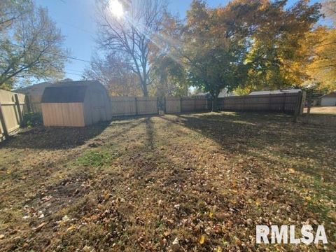 Tiny photo for 600 E 5TH Street, Rock Falls, IL 61071 (MLS # QC4269517)
