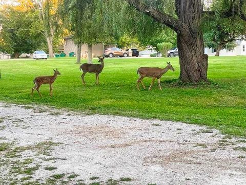 Tiny photo for 710 Short Street, Streator, IL 61364 (MLS # 12500198)