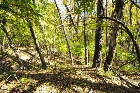 Tiny photo for 710 Short Street, Streator, IL 61364 (MLS # 12500198)