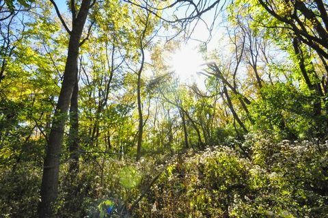 Tiny photo for 710 Short Street, Streator, IL 61364 (MLS # 12500198)